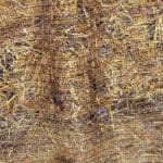 Naturally degrading coir netting for erosion control.
