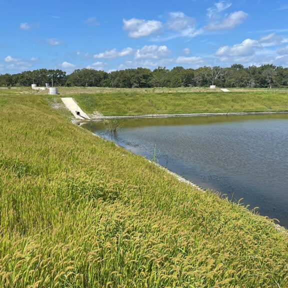 Pond bank with thick grass after receiving application of hydro-mulch additives.