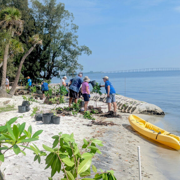 ferguson waterworks shoreline protection reef arches gallery 03