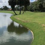 Large pond with beautiful grass embankment.