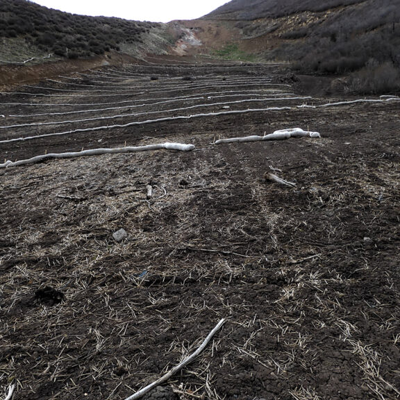 In the process of removing grasses at mine reclamation site to reduce combustible grass.