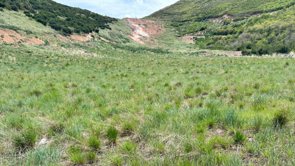 Nutrafix Mine Reclamation case study hero
