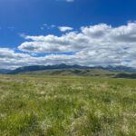 Nutrafix Ranchland Reclamation Case Study 5-year monitoring after