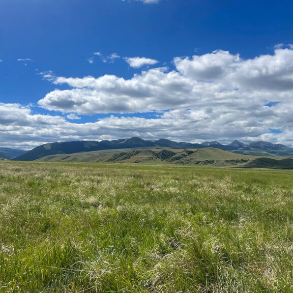 Nutrafix Ranchland Reclamation Case Study 5-year monitoring after