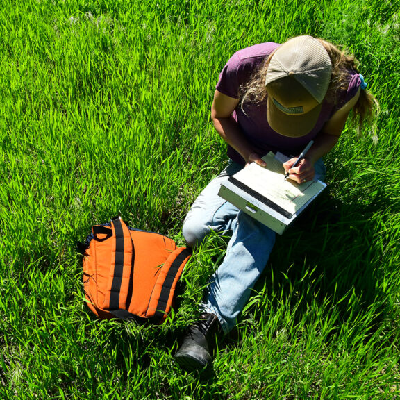 Person sitting in luscious and long-lasting perennial grass covering pastureland.