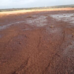 Proganic DUAL application