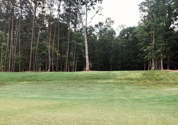 ferguson waterworks Ultimate Guide for Soil Restoration using ProGanics DUAL 1