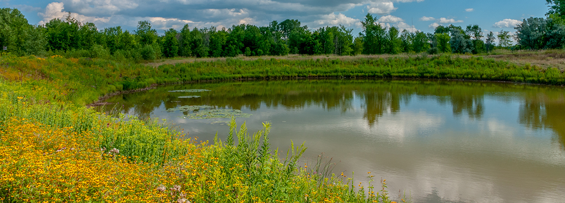 ferguson waterworks Detention Retention Ponds hero