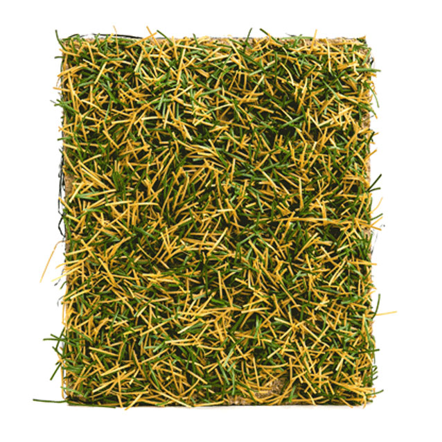 ferguson waterworks Ultimate Guide to Watershed Geos HydroTurf product