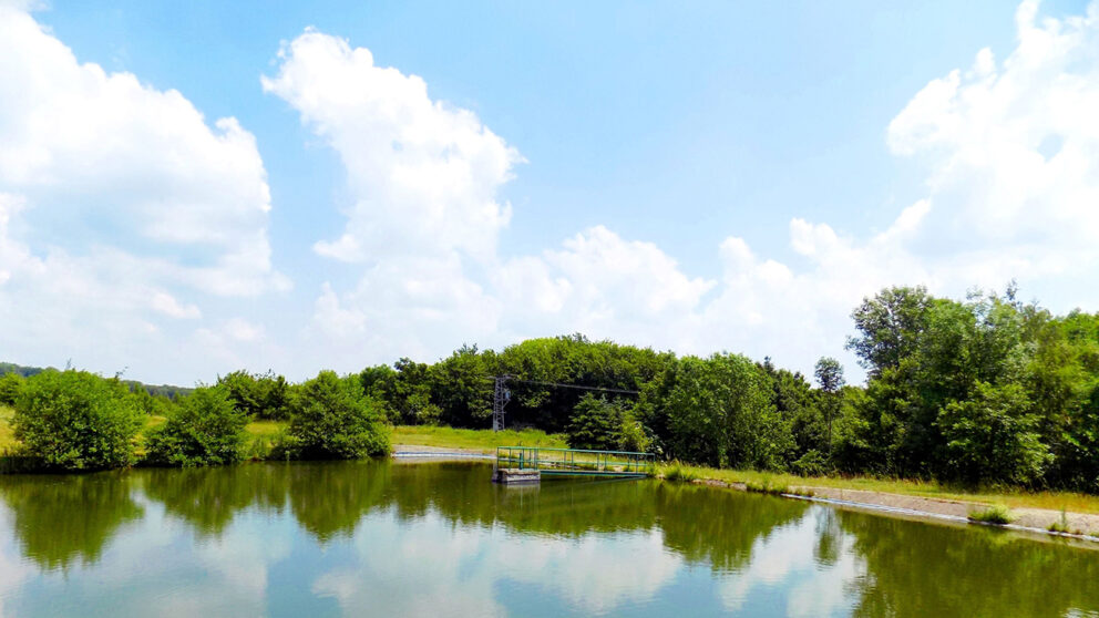 ferguson waterworks Water Quality Ponds 07