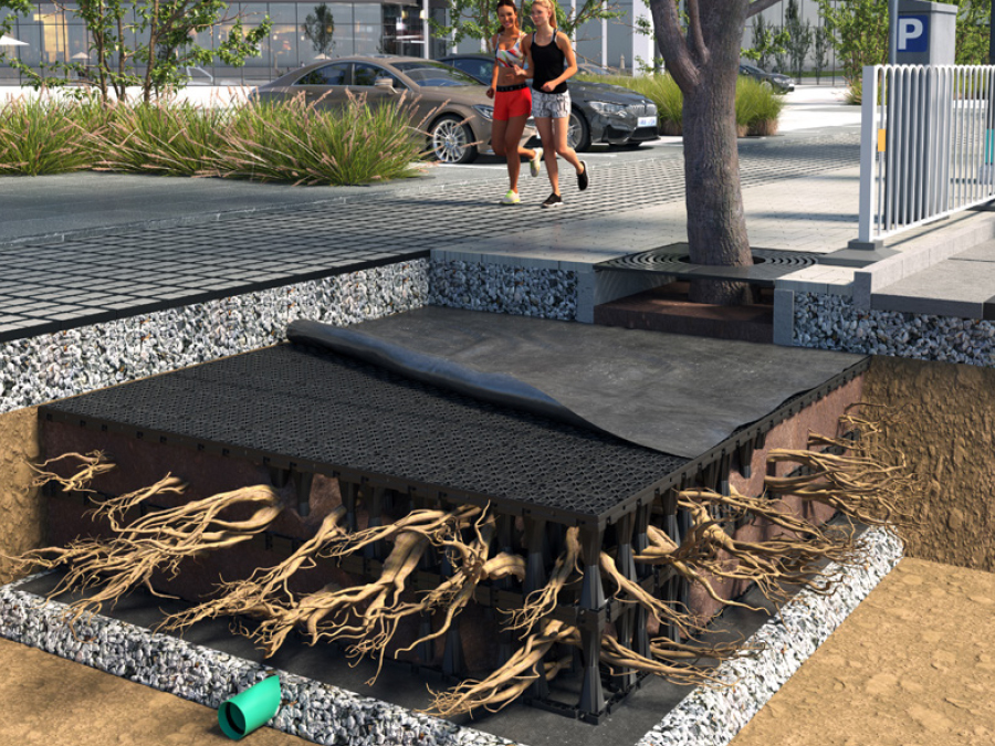 r-tank urbanforest campaign 01