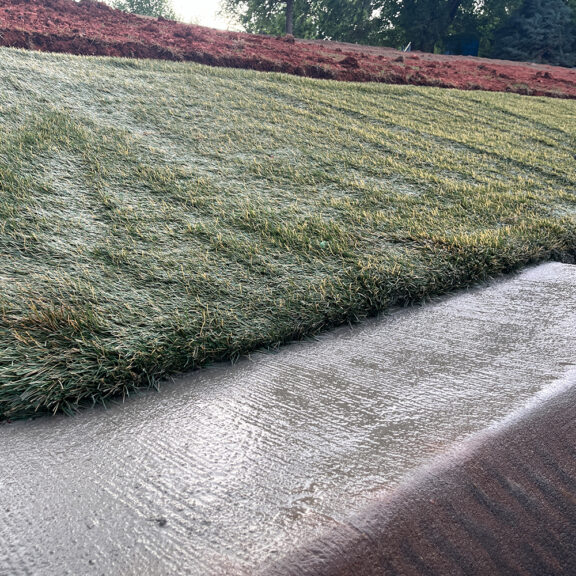 Vegetated hydroturf lining channel for high-flow erosion control.