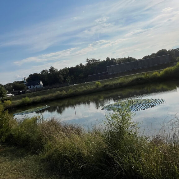 Floating Treatment Wetlands called BeeMats