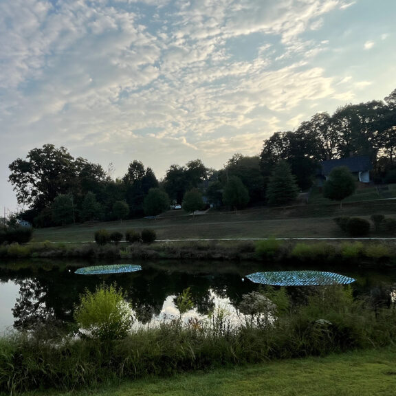 Beemats floating water treatment wetland on pond.