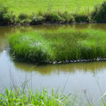 Fully vegetated floating wetland for water quality