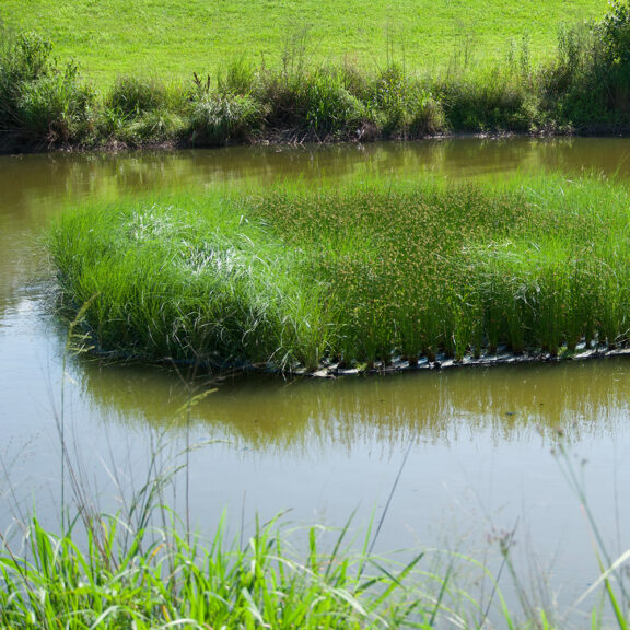 Fully vegetated floating wetland for water quality