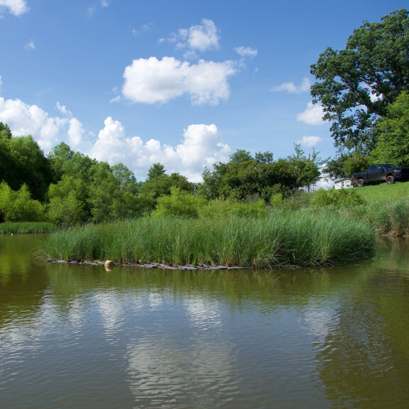 Beemat vegetated with native plants for water quality