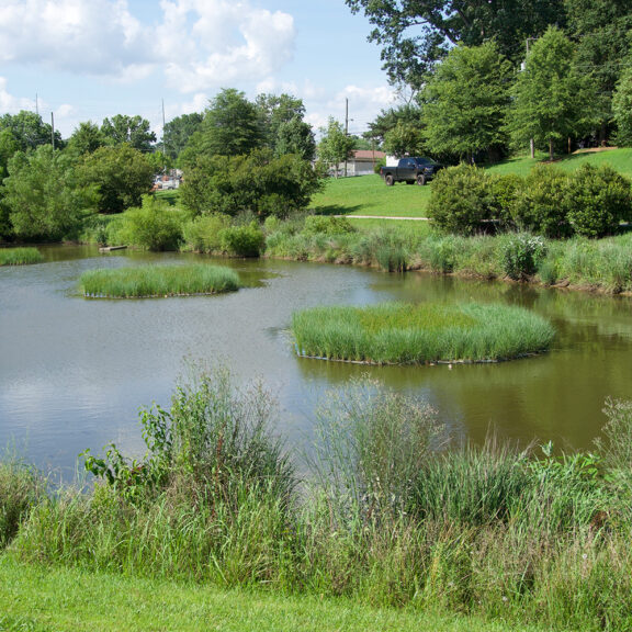 A scenic wetland area with innovative and environmentally friendly water quality solution
