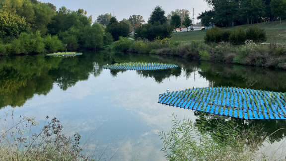Installing Floating Treatment Wetlands on water to improve quality.