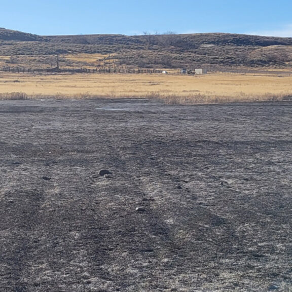 Bare soil in pastereland