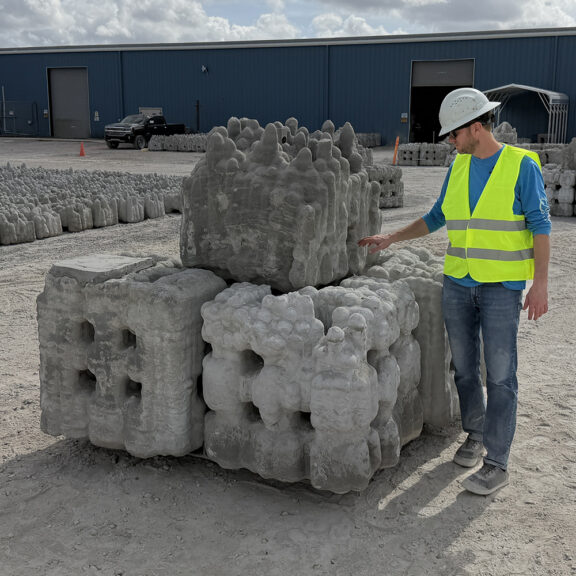 Natrx habitat gallery 02