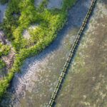 Natrx wavebrush-gallery 01