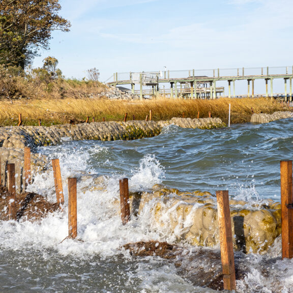 Natrx waveslope-gallery 01