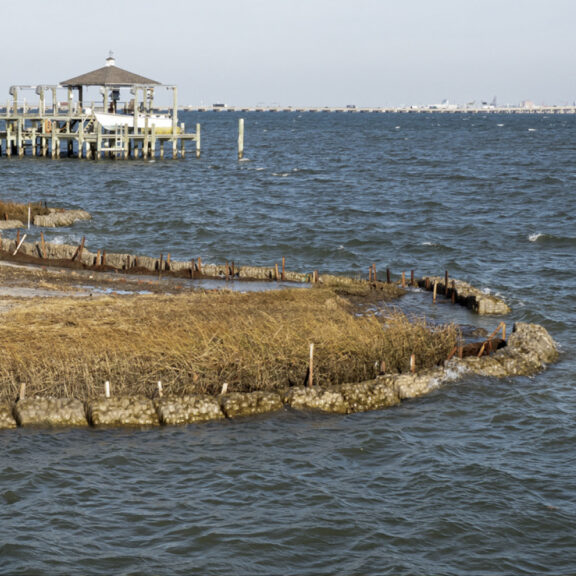 WaveSlope-33 ExoForms installed in water to protect the nearby shoreline from waves.