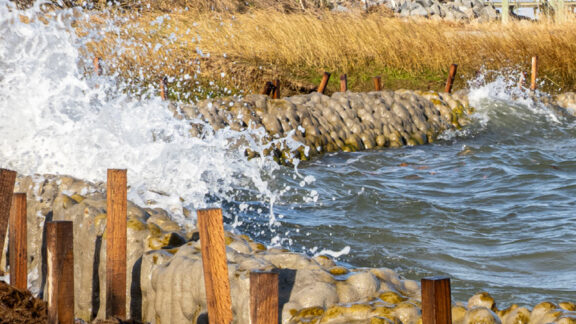 Waves crashing into Natrx ExoForms that are protecting the shoreline from erosion.