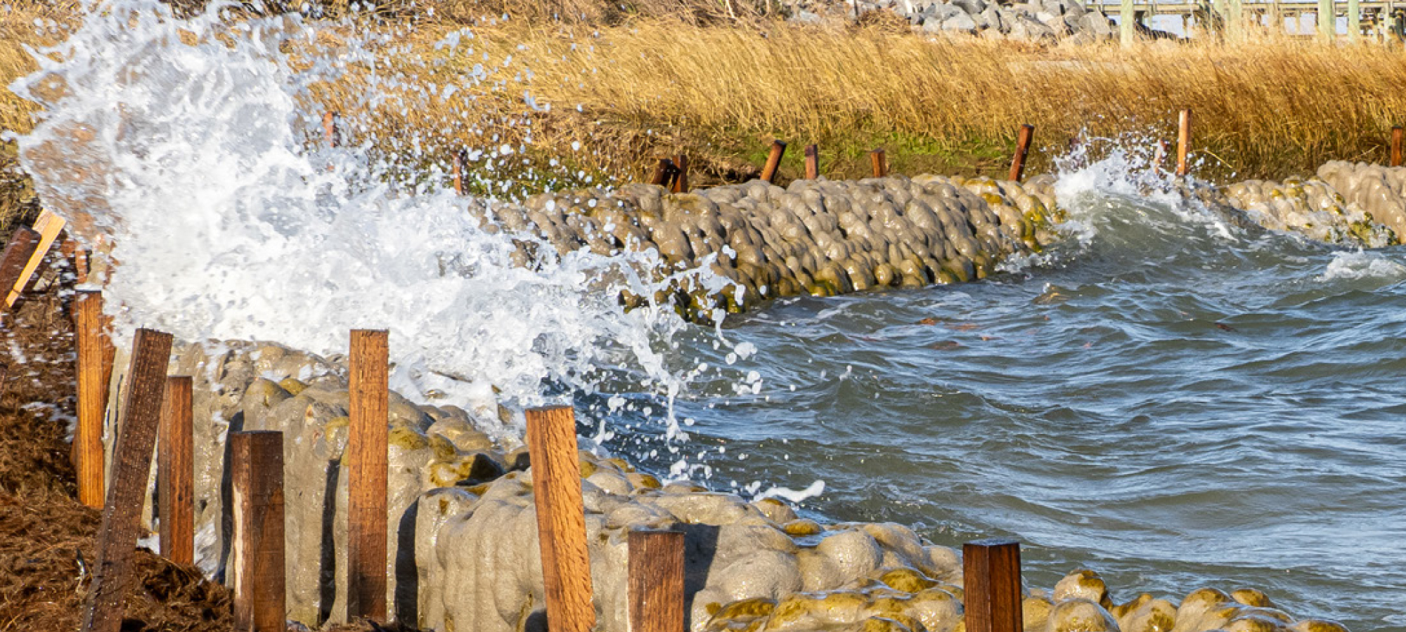 Waves crashing into Natrx ExoForms that are protecting the shoreline from erosion.
