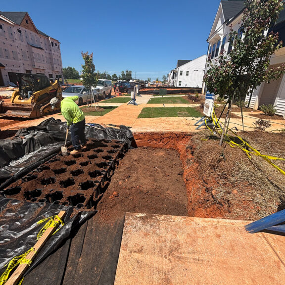 Backfilling UrbanForest soil cells with dirt with trees to be planted