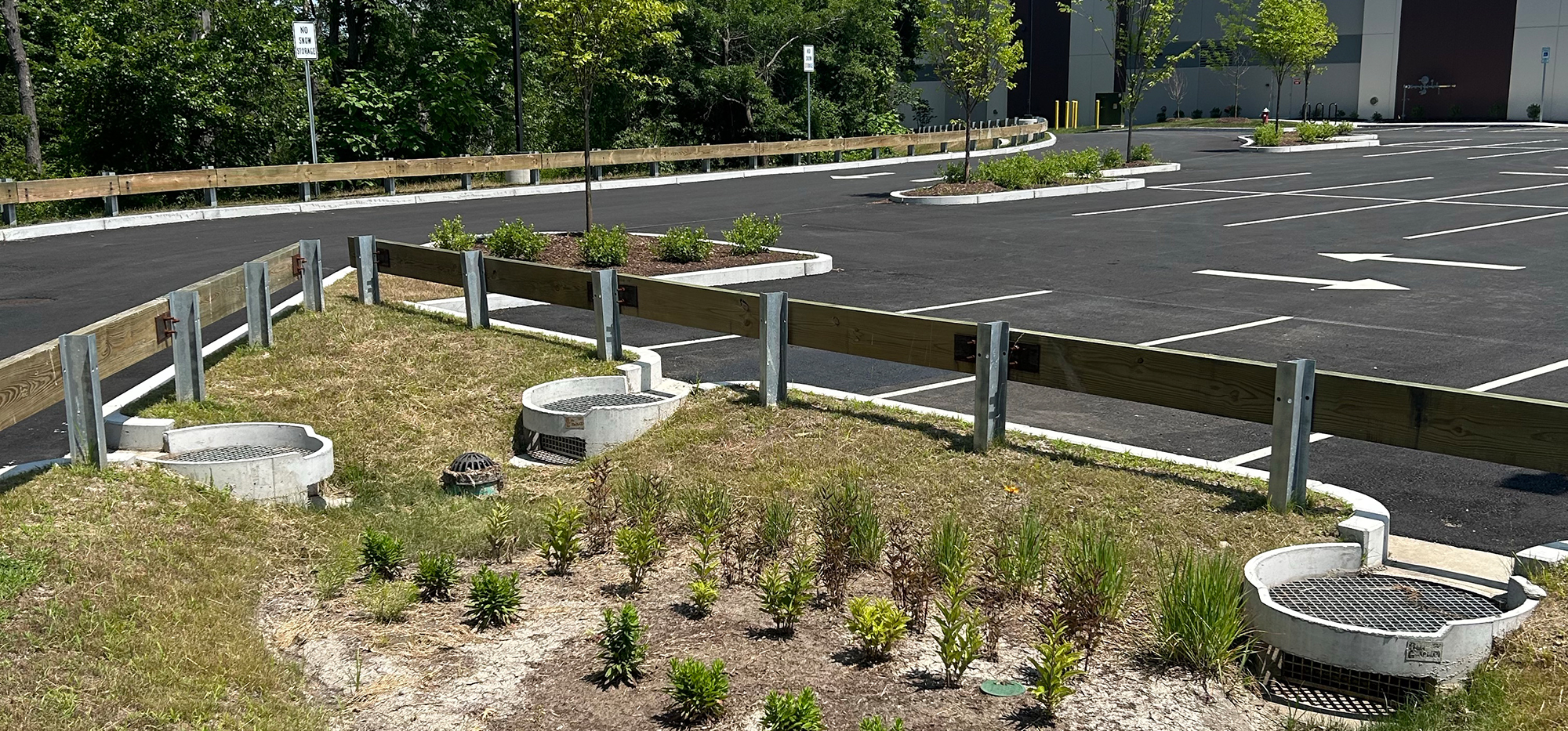 FocalPoint Biofiltration system near parking lot
